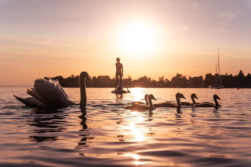 Mermaid Ponds